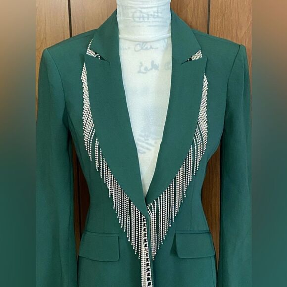 CINQ À SEPT Cheyenne Fringe Embellished Blazer size 2 - Picture 5 of 12